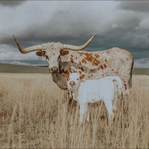 Meet your Posher, Jazmin